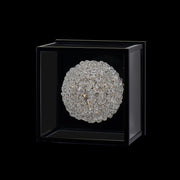 LINA ESTERNO SHORT OD WALL SCONCE