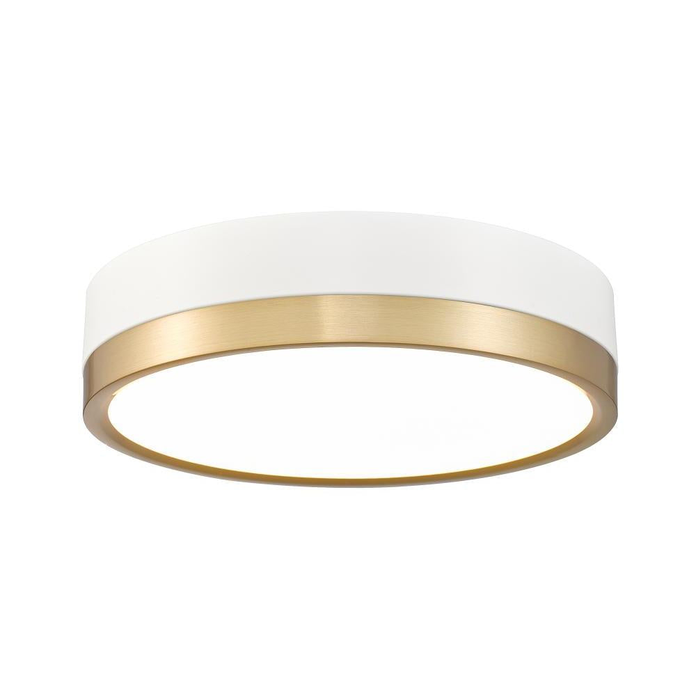 1 Light Flush Mount Light-Frosted