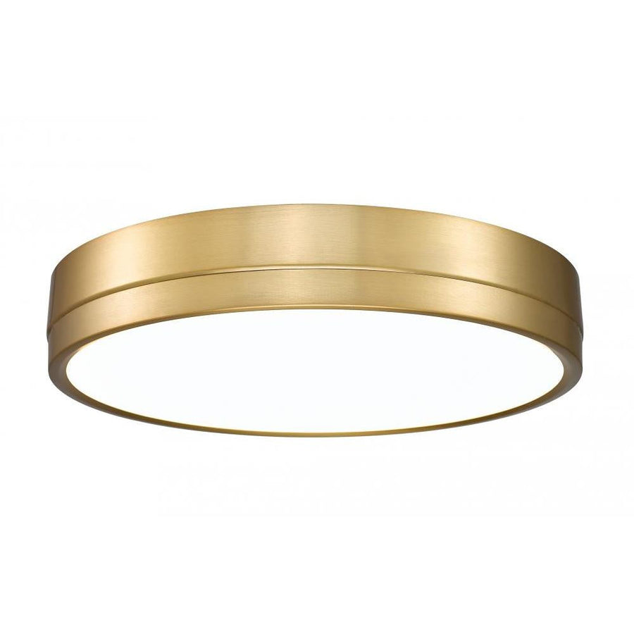 1 Light Flush Mount Light-Frosted