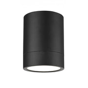 1 Light Flush Mount Light-Frosted