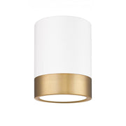 1 Light Flush Mount Light-Frosted
