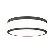 1 Light Flush Mount Light-Frosted