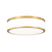 1 Light Flush Mount Light-Frosted