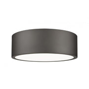 1 Light Flush Mount Light-Frosted