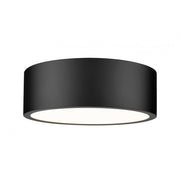 1 Light Flush Mount Light-Frosted