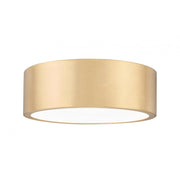 1 Light Flush Mount Light-Frosted