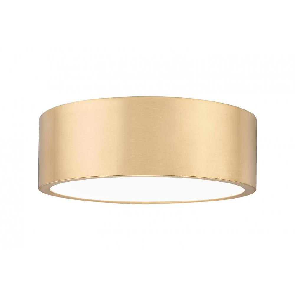 1 Light Flush Mount Light-Frosted
