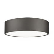 1 Light Flush Mount Light-Frosted