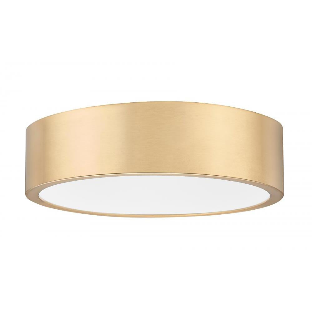 1 Light Flush Mount Light-Frosted