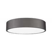 1 Light Flush Mount Light-Frosted