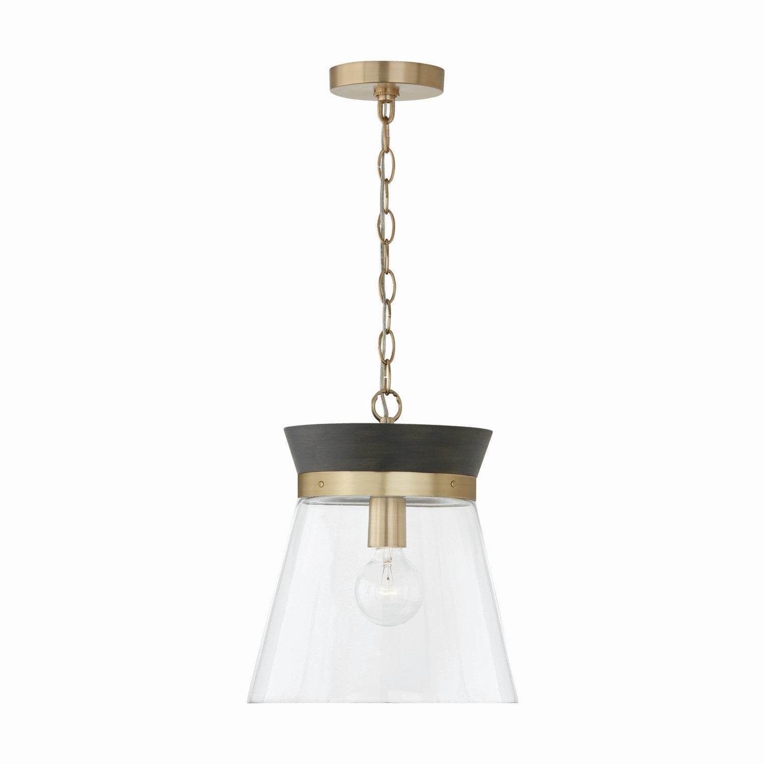 Capital Finn 347311KR Pendant Light - Black Stain, Matte Brass, Clear Glass (OPEN BOX)