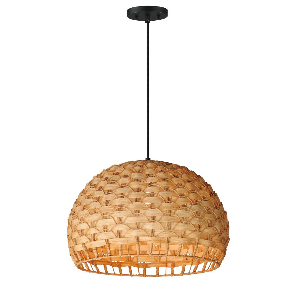 Tahiti 20 Inch Pendant Light – Black