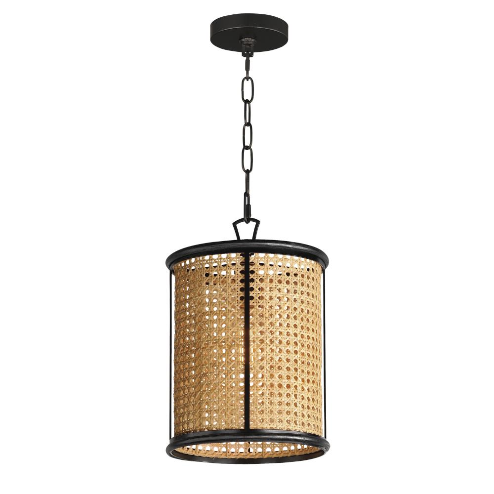 Cane 10 Inch Semi Flush Mount Light – Black