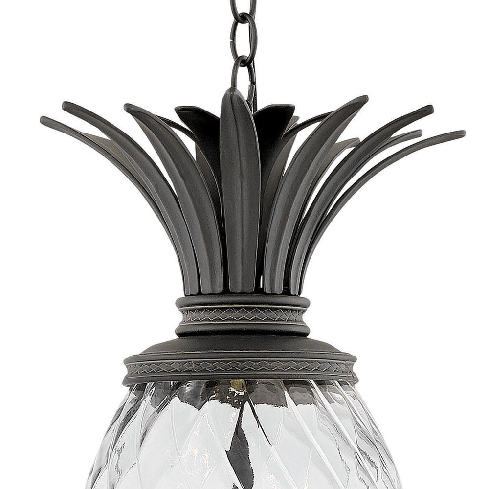 Hinkley Lighting PLANTATION 2122MB Pendant Contemporary - Museum Black