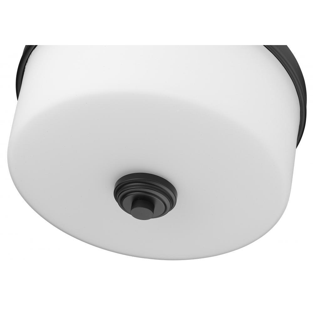 Z-Lite Lighting 220F3-MB Flush Mount Transitional - Black