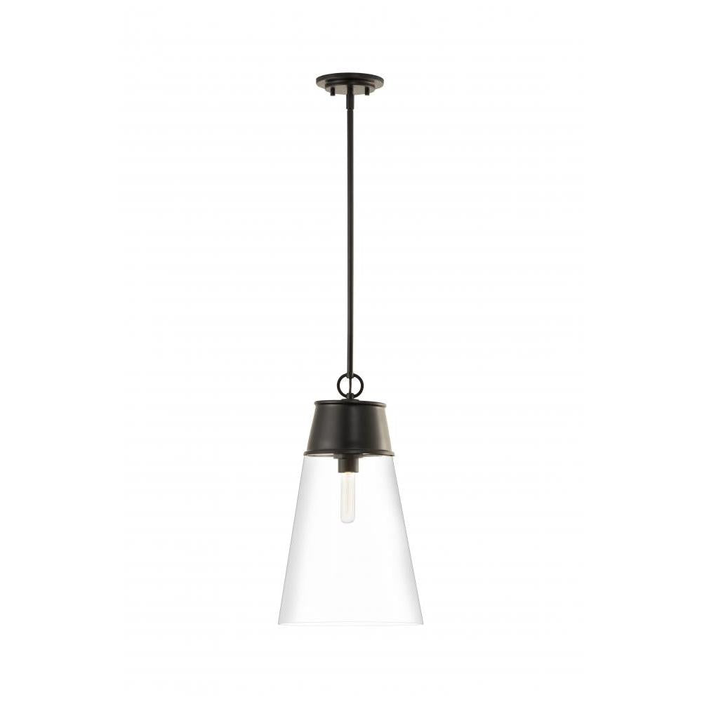 1 Light Pendant-Clear