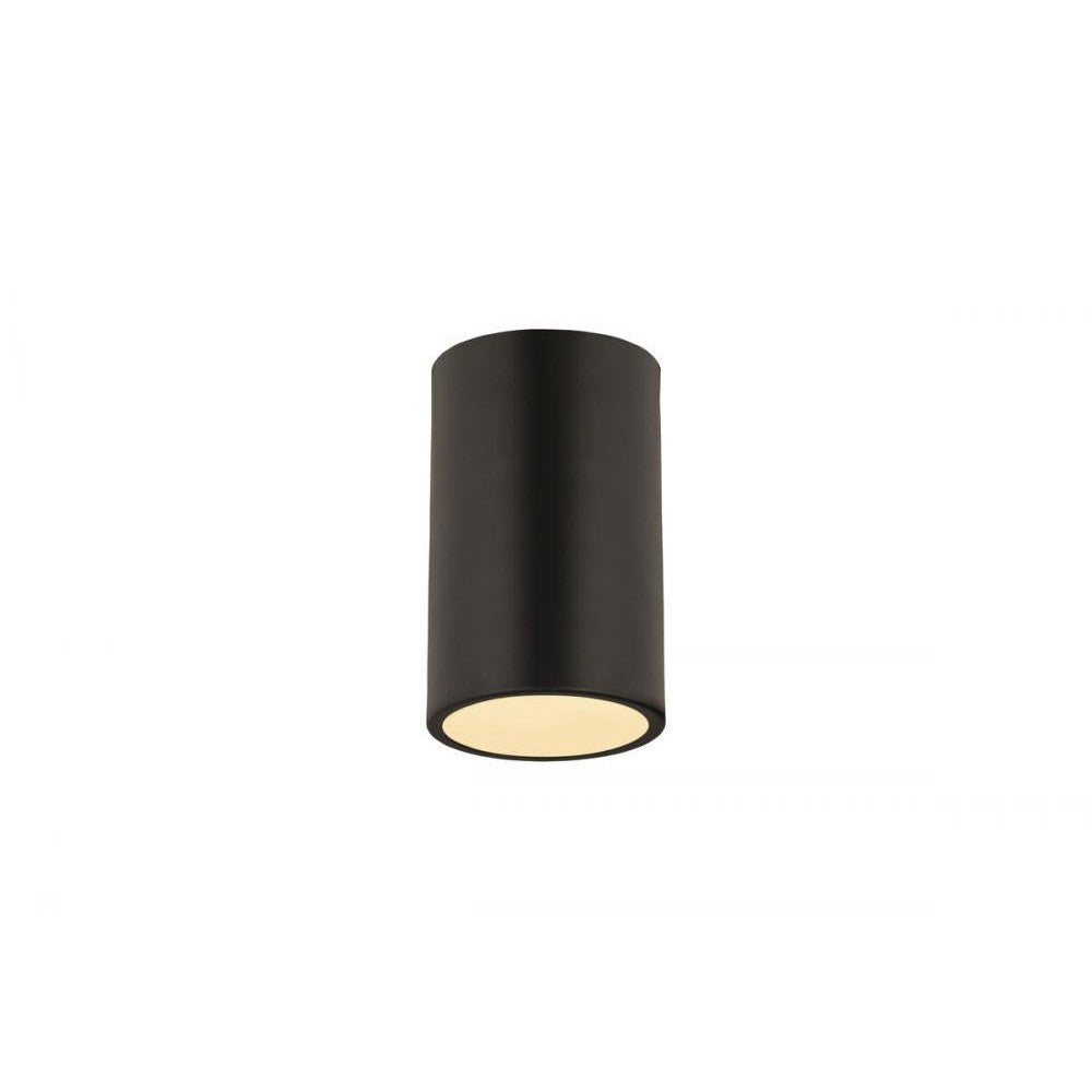 Z-Lite Lighting 2302F1-MB Flush Mount Industrial - Black