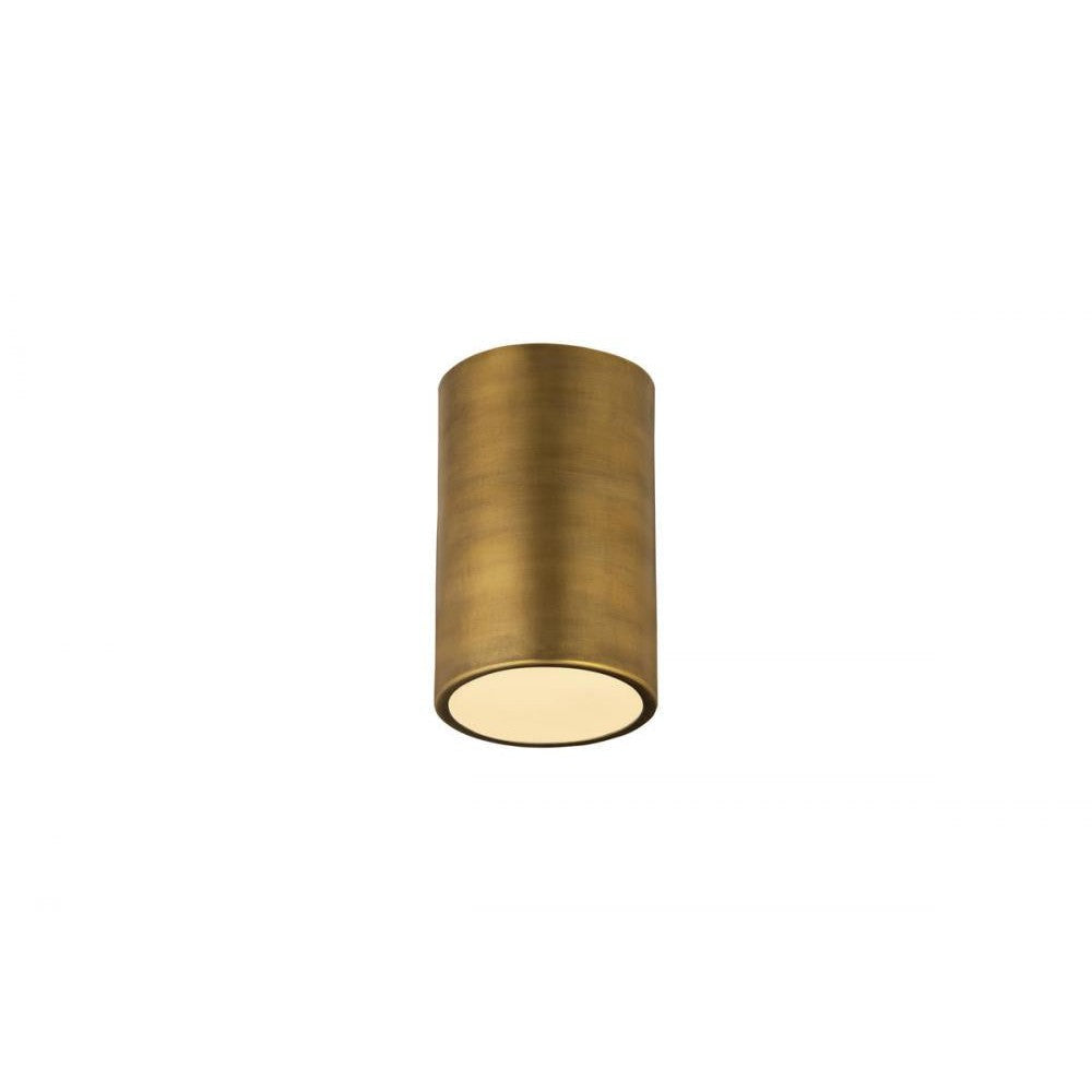 Z-Lite Lighting 2302F1-RB Flush Mount Industrial - Brass