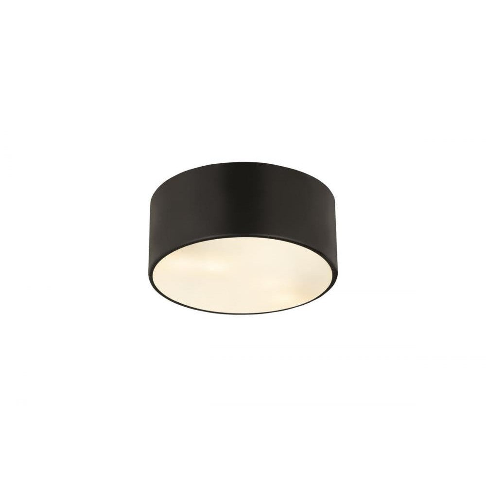 Z-Lite Lighting 2302F2-MB Flush Mount Industrial - Black