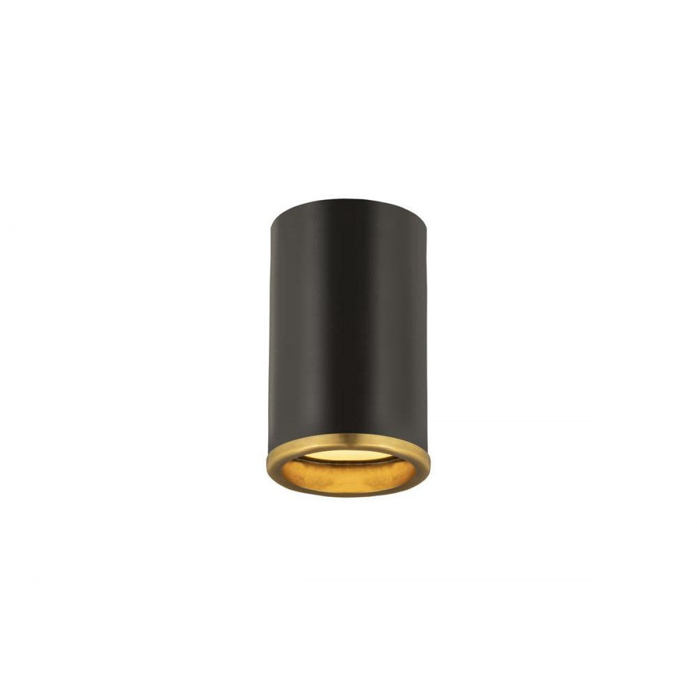 Z-Lite Lighting 2303F1-MB-RB Flush Mount Industrial - Brass