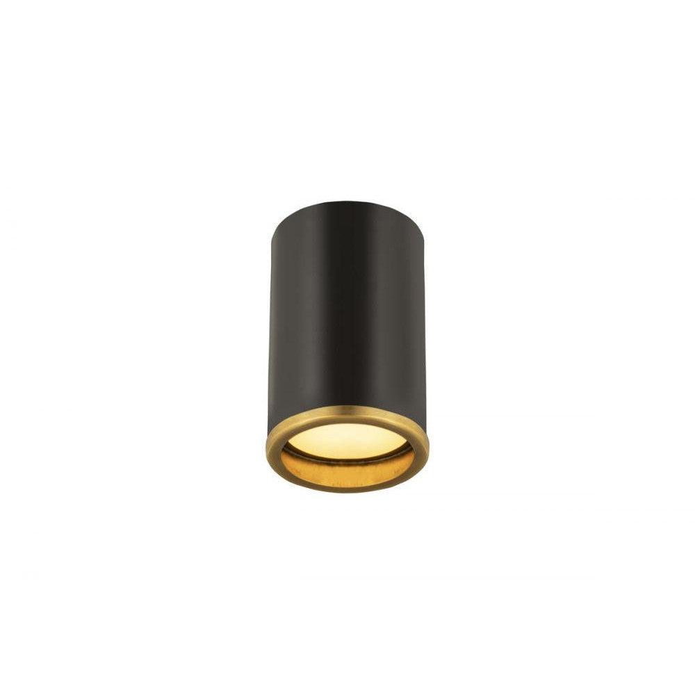 Z-Lite Lighting 2303F1-MB-RB Flush Mount Industrial - Brass