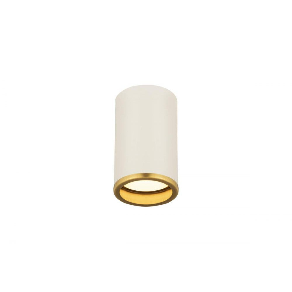 Z-Lite Lighting 2303F1-MW-RB Flush Mount Industrial - Brass