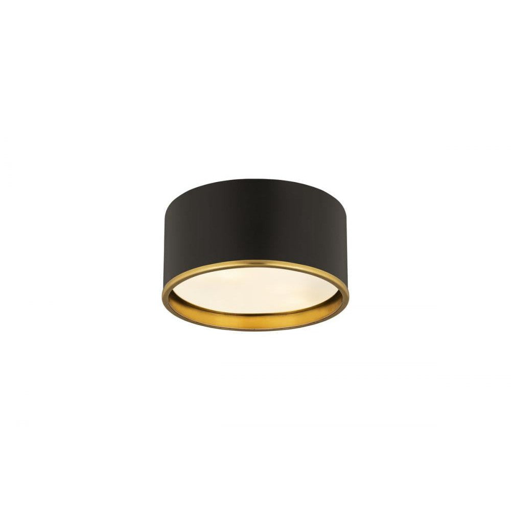 Z-Lite Lighting 2303F2-MB-RB Flush Mount Industrial - Brass