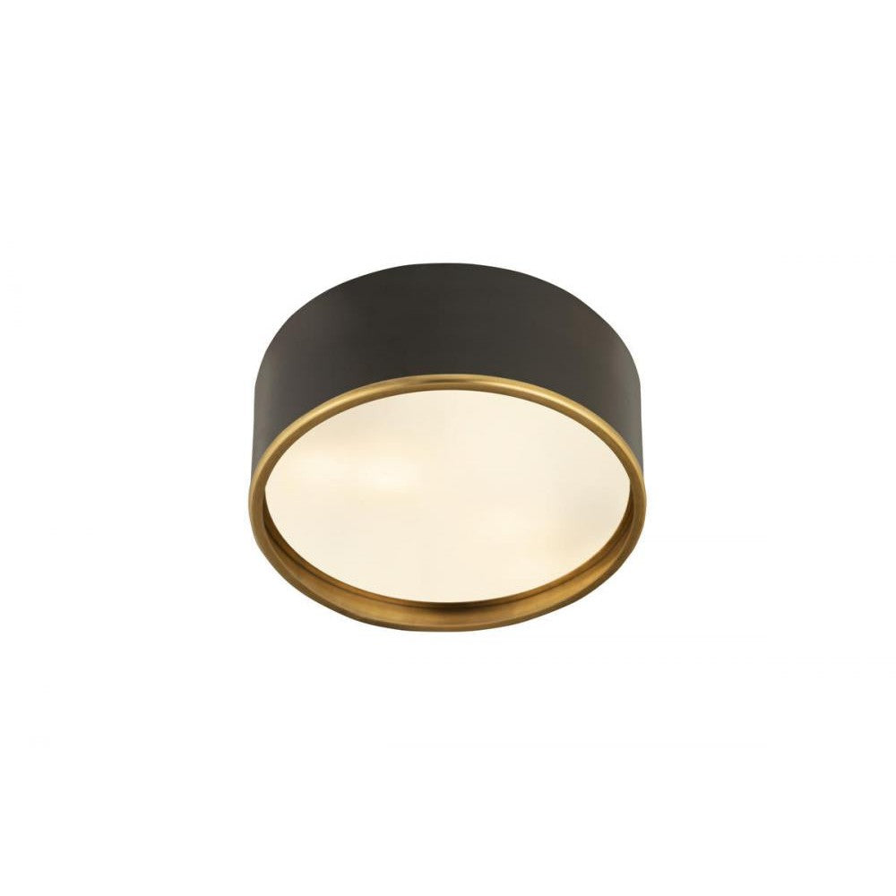 Z-Lite Lighting 2303F3-MB-RB Flush Mount Industrial - Brass