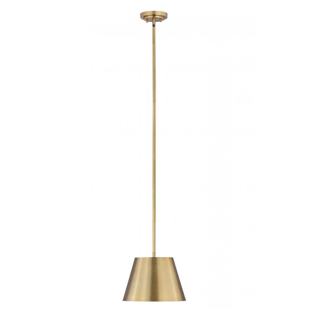 1 Light Pendant-Rubbed Brass