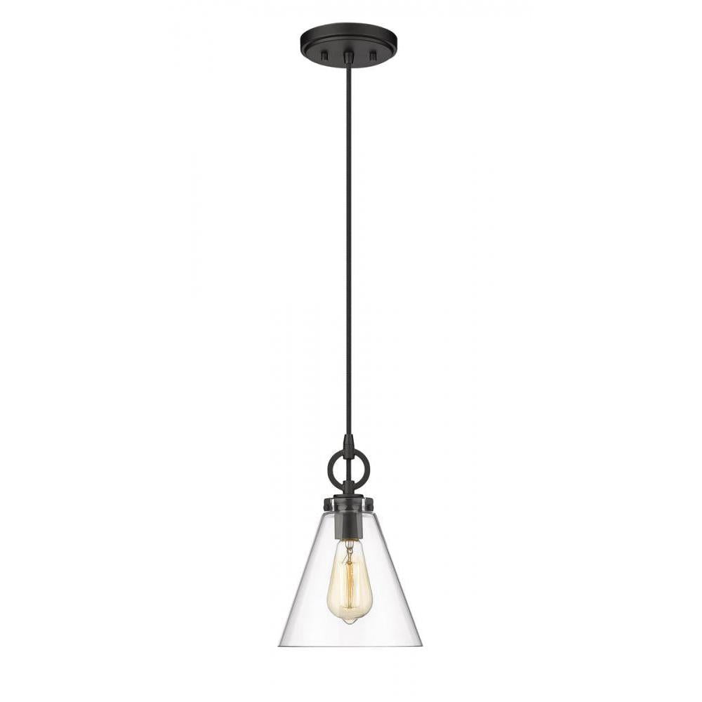 1 Light Pendant-Clear