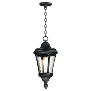 Sentry-Outdoor Hanging Lantern