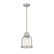 1 Light Pendant-Clear Seedy