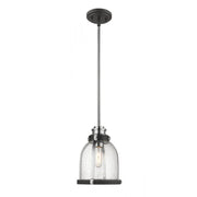 1 Light Pendant-Clear Seedy