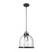 1 Light Pendant-Clear Seedy