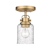 1 Light Flush Mount Light-Clear Seedy