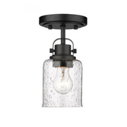 1 Light Flush Mount Light-Clear Seedy