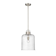 1 Light Pendant-Clear Seedy