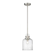 1 Light Pendant-Clear Seedy