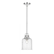 1 Light Pendant-Clear Seedy