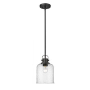 1 Light Pendant-Clear Seedy