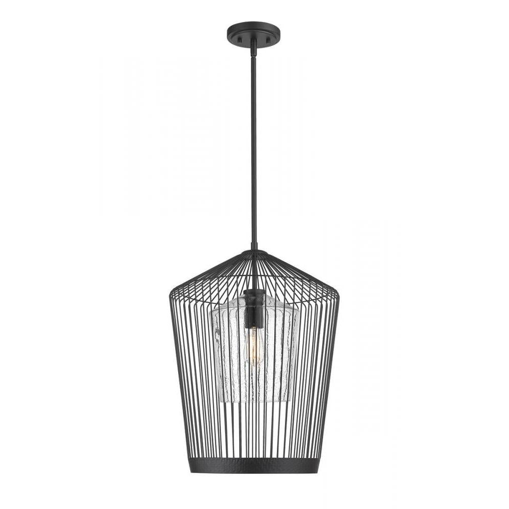 1 Light Pendant-Clear Seedy