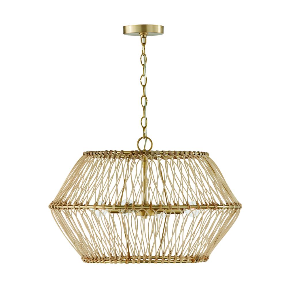 Capital Lighting WREN 344142MA Pendant Transitional - Matte Brass