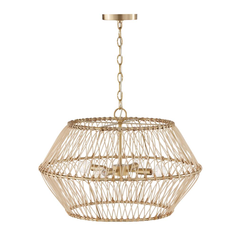 Capital Lighting WREN 344142MA Pendant Transitional - Matte Brass