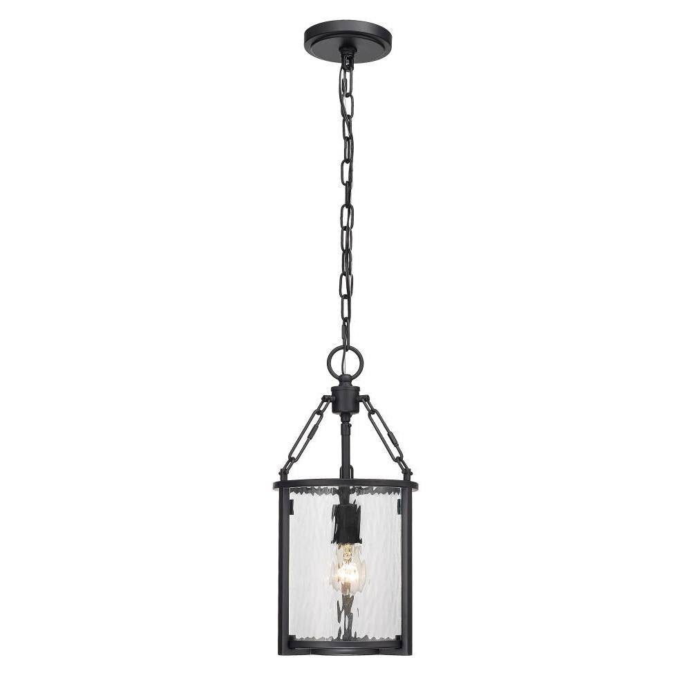 1 Light Pendant-Clear Waterglass
