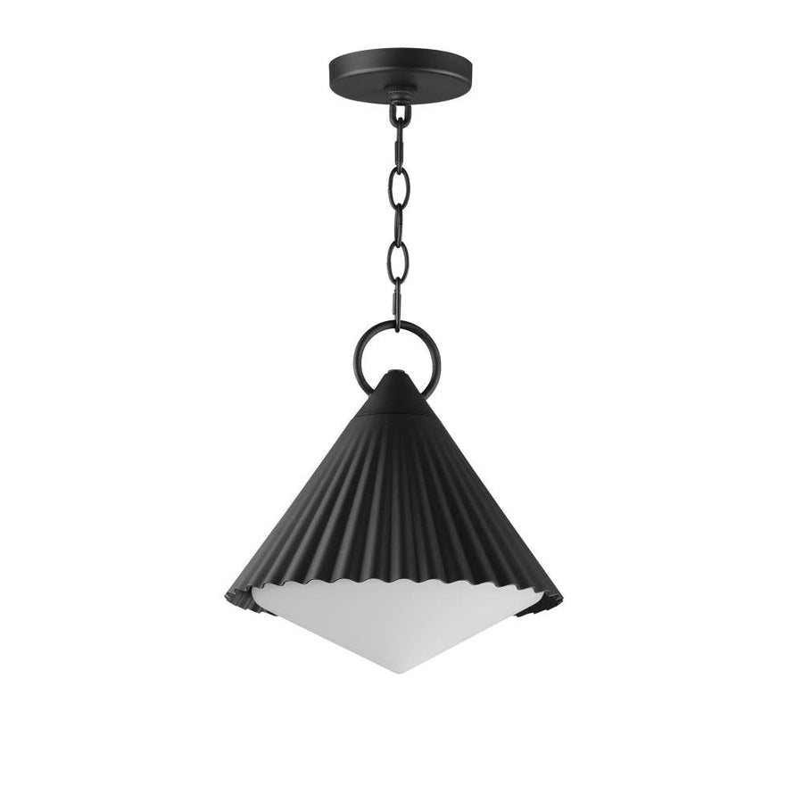 Outdoor 12 Inch Pendant – Black