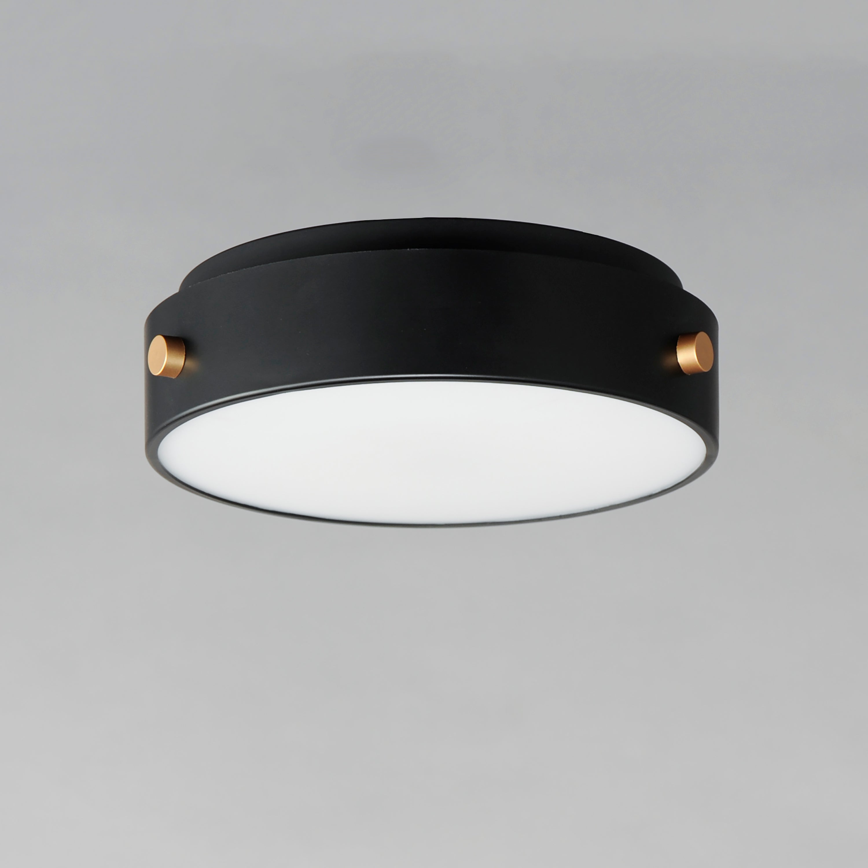 12 Inch Outdoor Flush Mount – Black / Antique Brass