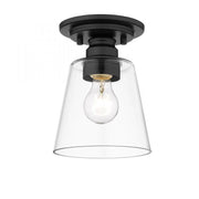 1 Light Flush Mount Light-Clear and