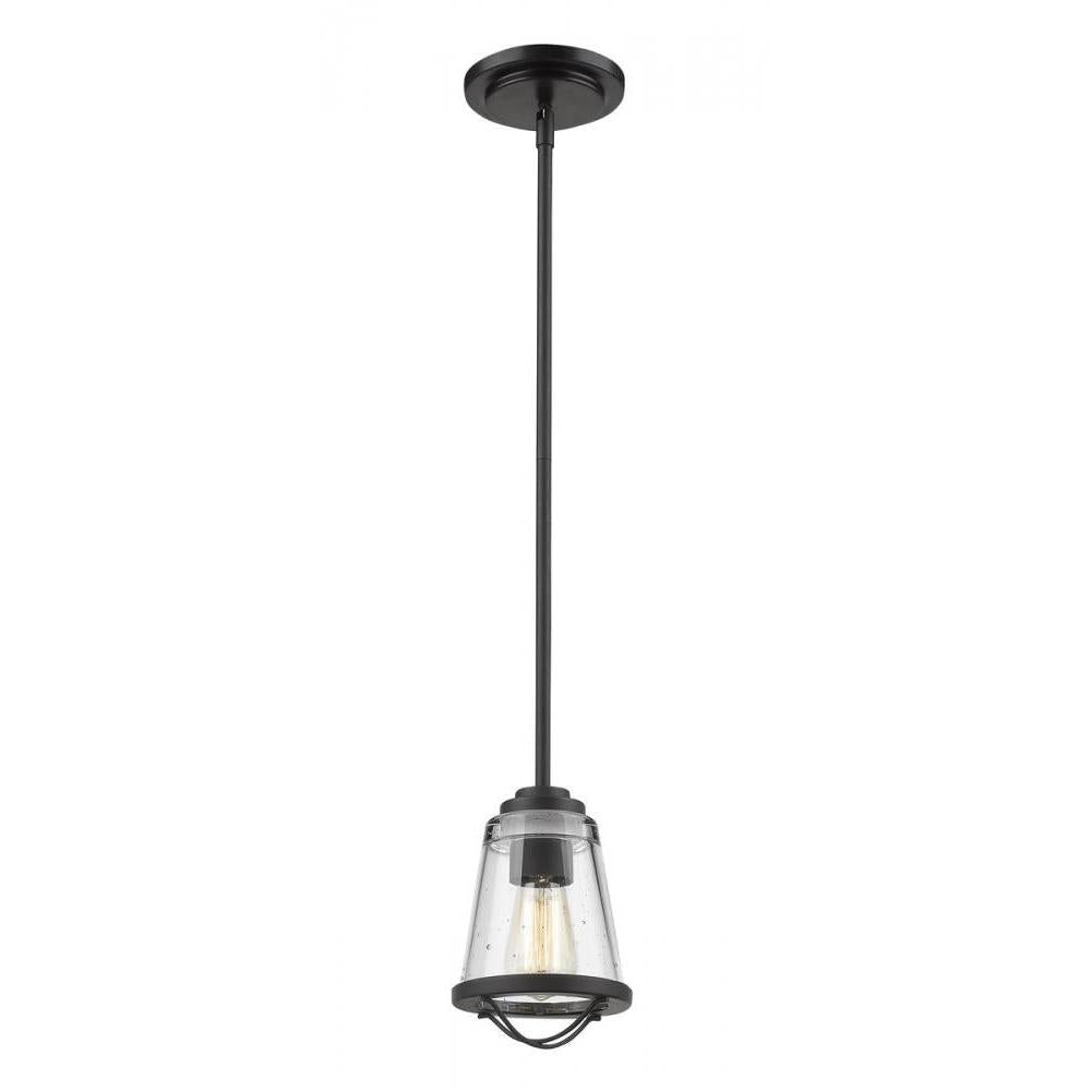 1 Light Pendant-Clear Seedy
