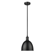 1 Light Pendant-Matte Black