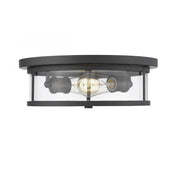 2 Light Flush Mount Light-Clear